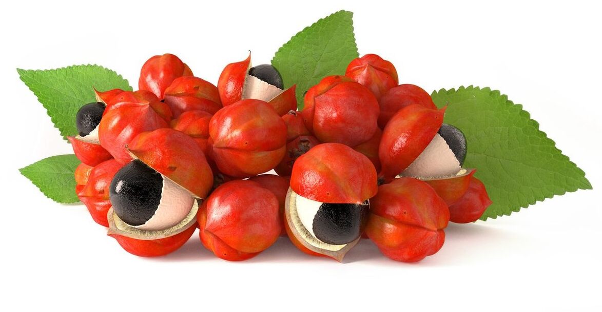 Guarana seed extract in Abslim