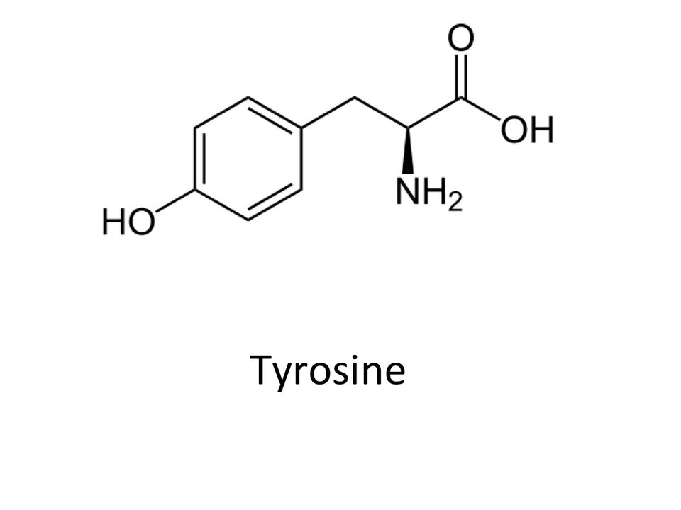 Tyrosin in zxcvbnmqwert