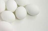 egg